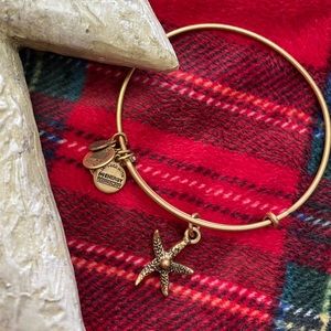 ✨2 for $30✨ Alex and Ani Charm Bangle